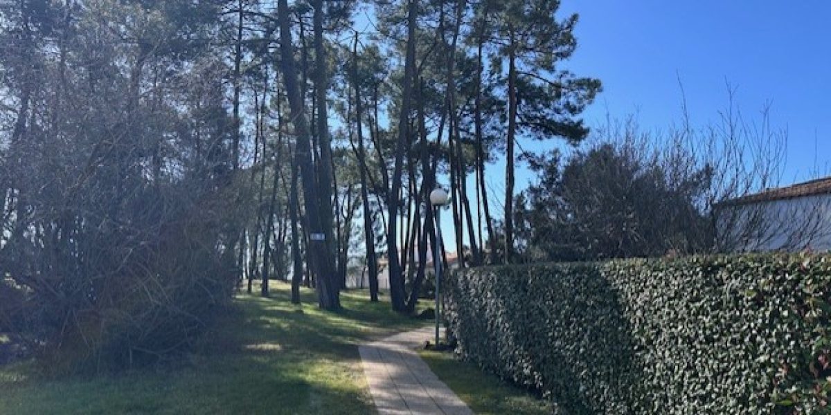 photo_0a0e36306351674f4874dc010047badd