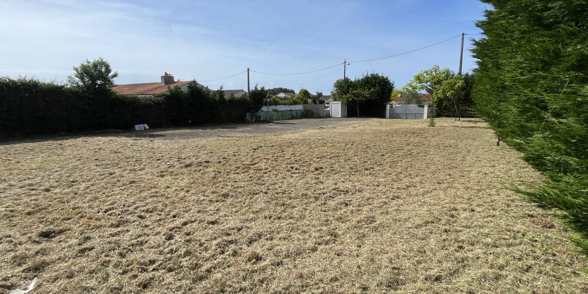 photo_1b7d01919c94ce5826dc9449f621bfae