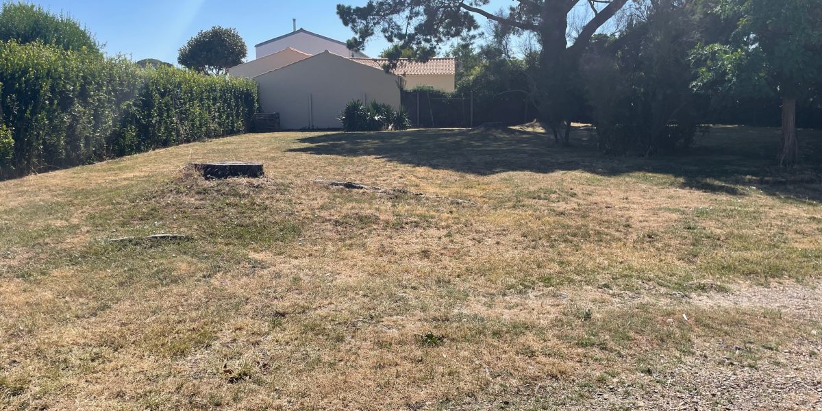 photo_1db951e1234dd63fbd4901ce2eae3382