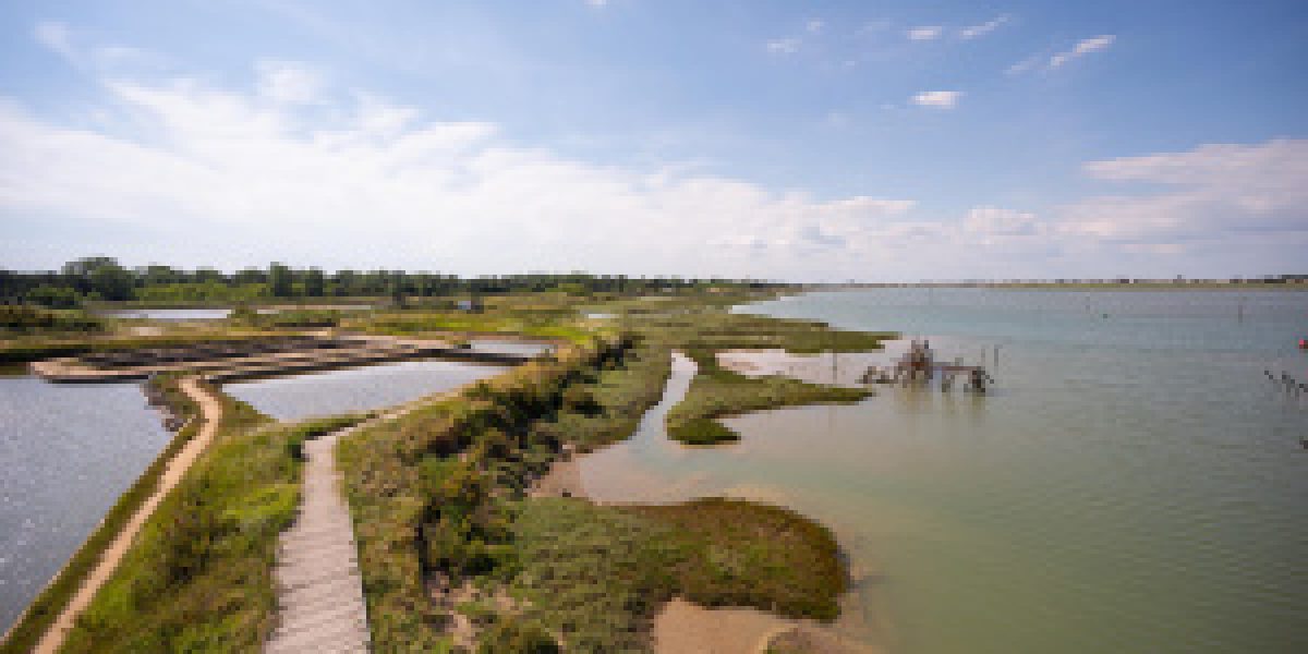 photo_2f375afe23fa35a9e0b4c322d3d177ad