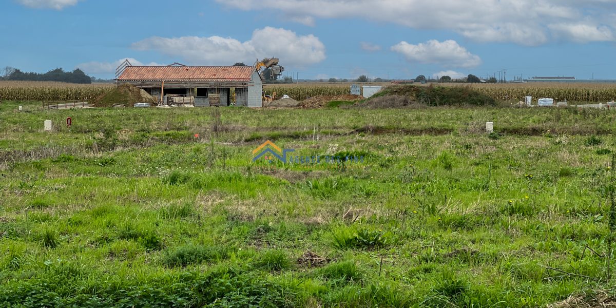 photo_3b77a8a3951f7eddd9bcf317c978bedd-1