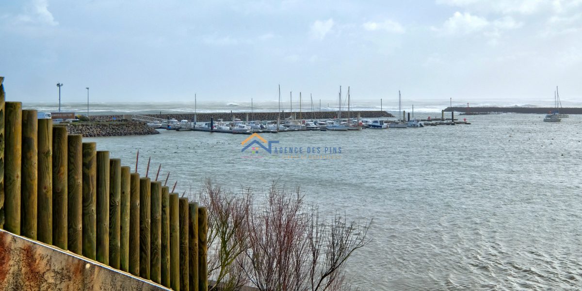 photo_3e5305b3e22be140ce0c75424488a4f4