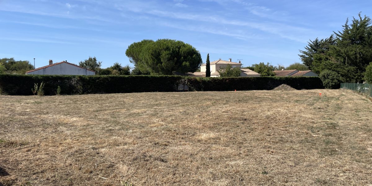 photo_41127fb1f7b3d73e874c00362b989aff