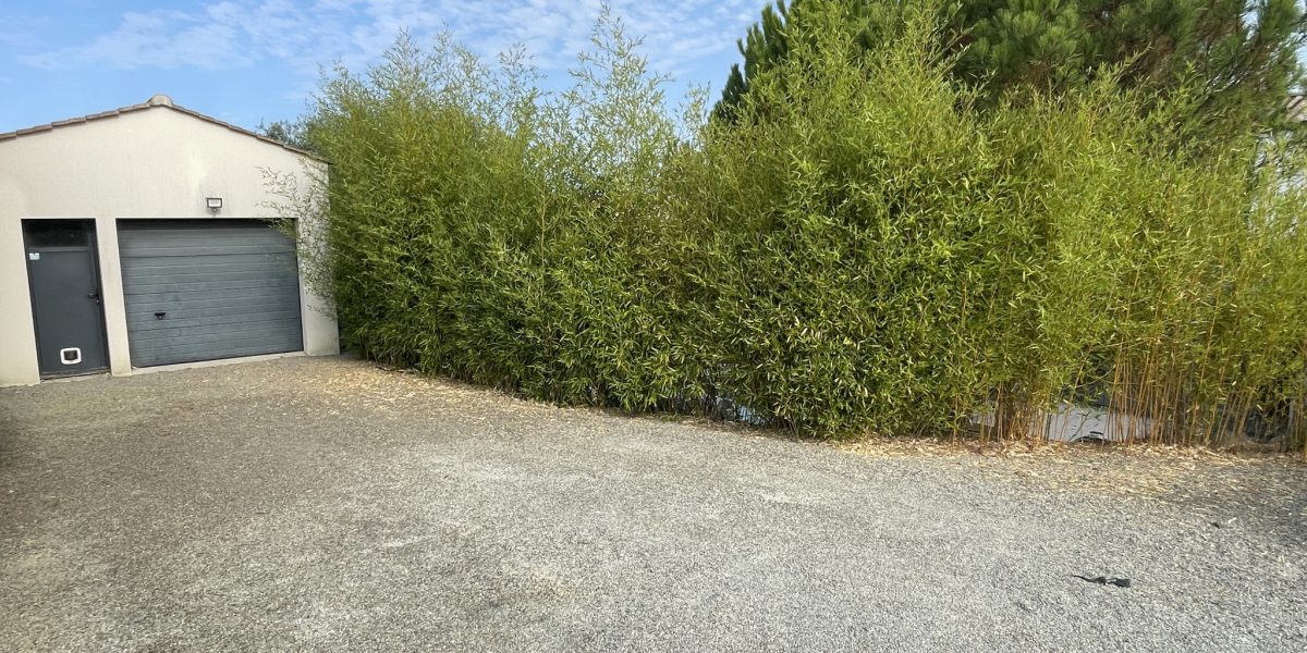 photo_4c75fc0221c2168dbf4a231535ca50b6