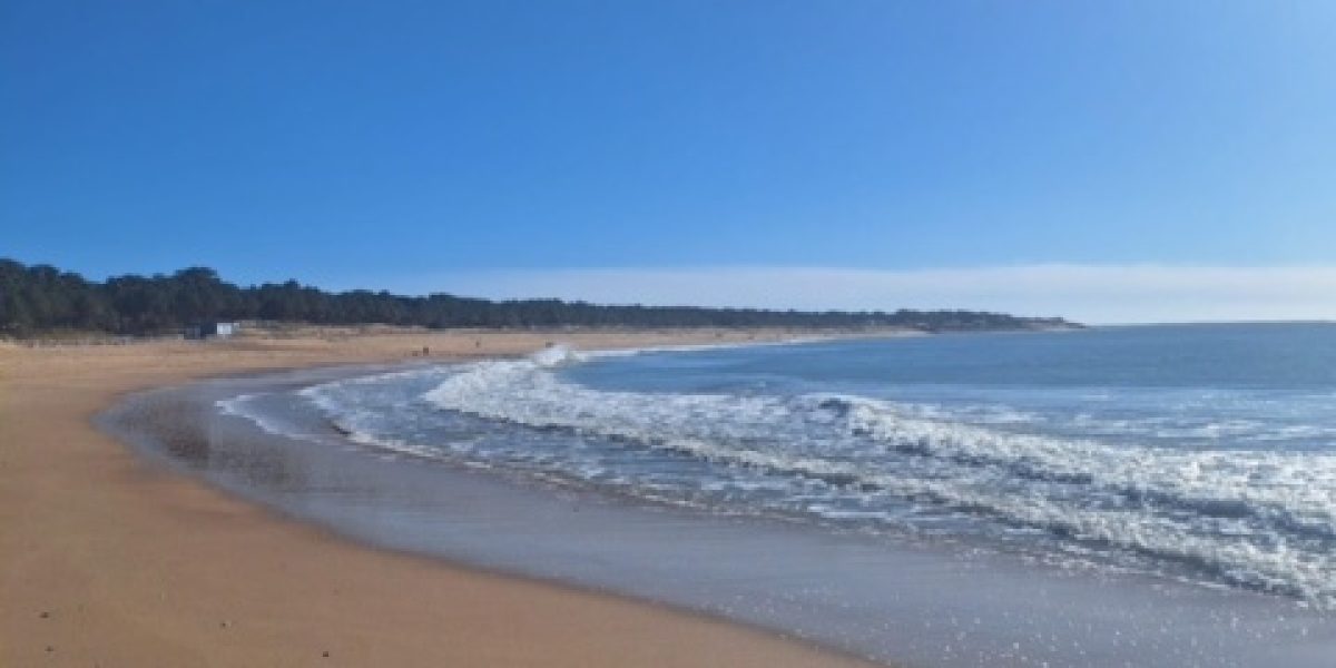 photo_4dcf3375e749051ccbcff5285fdeccd1