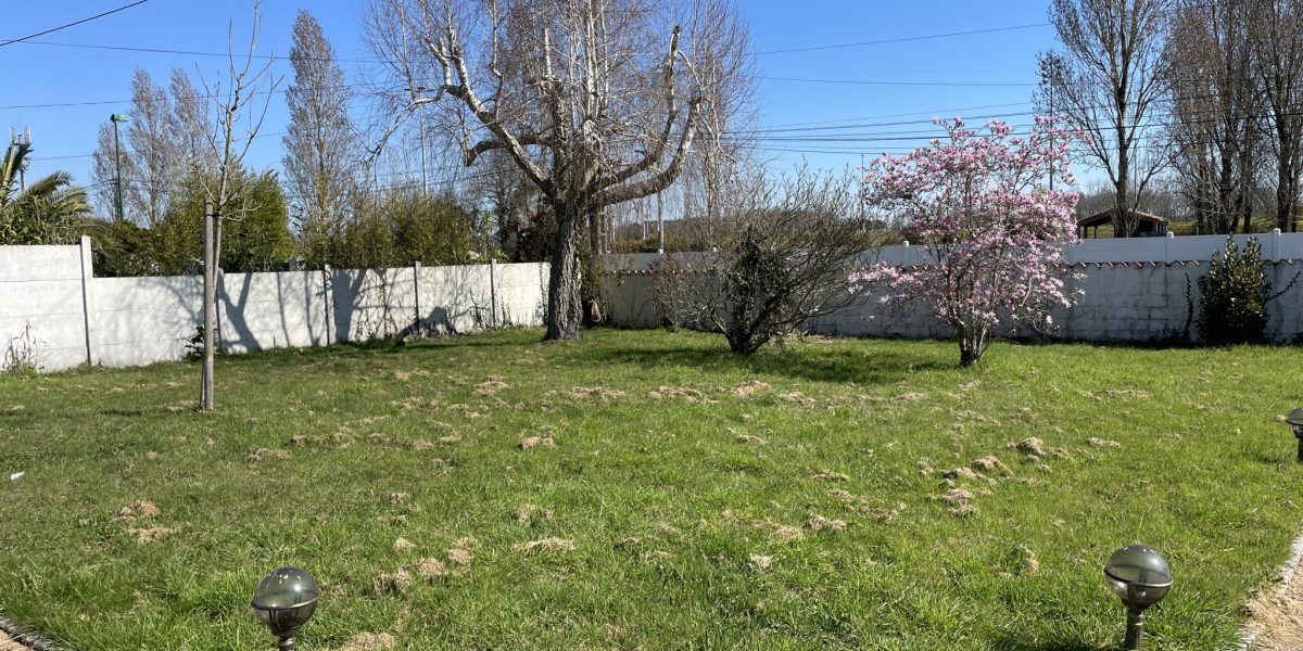 photo_520204697270e989e2e648cde0d21a29