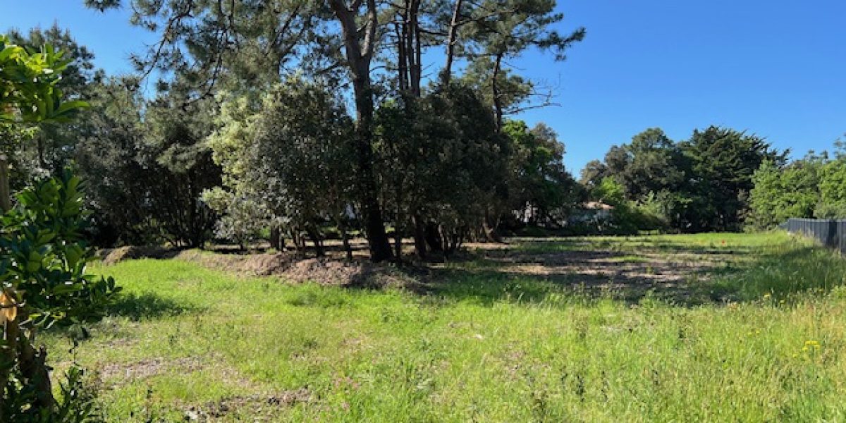 photo_5ff128b172e55bfe481a369c5b9e0557