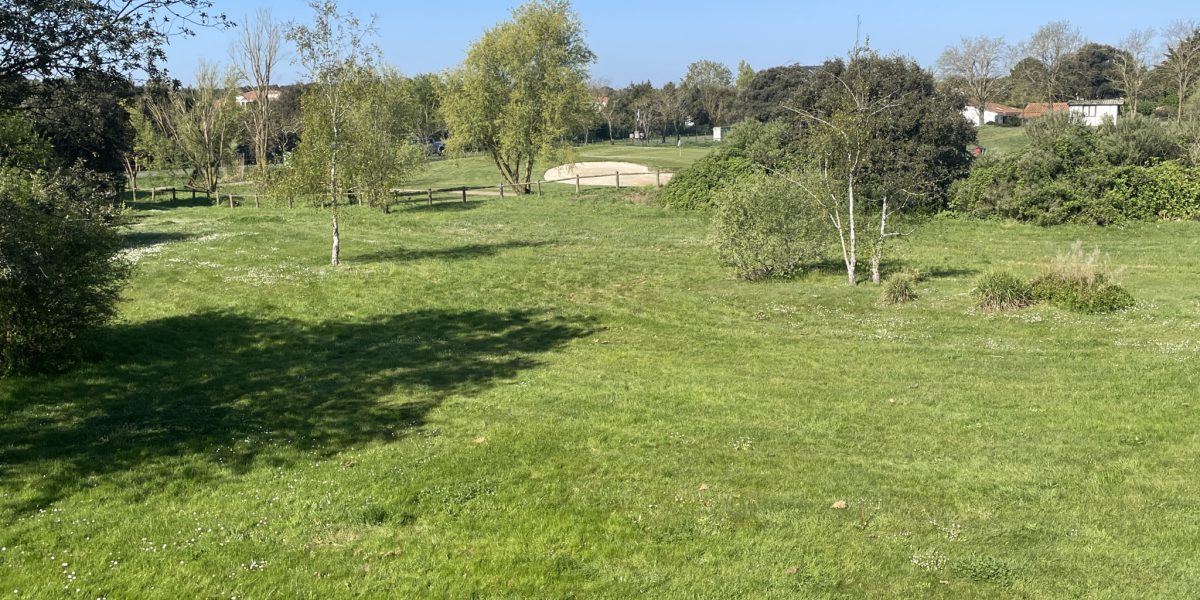 photo_63514453c45cc4cb1f07a42297edb91c-1