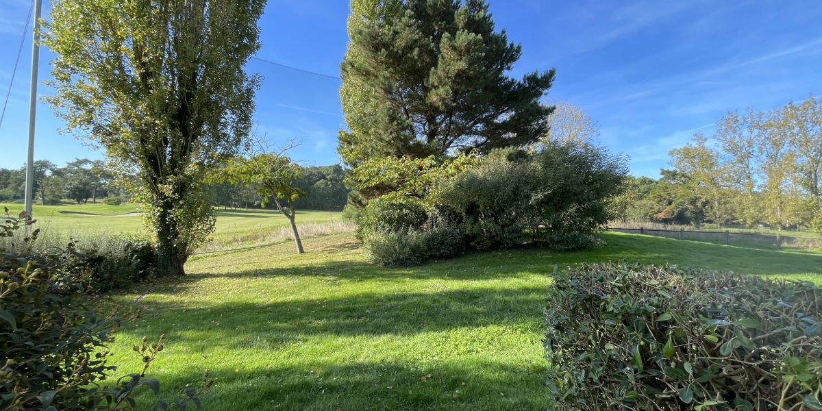 photo_7159b5d155d50f627d00352b087265ca