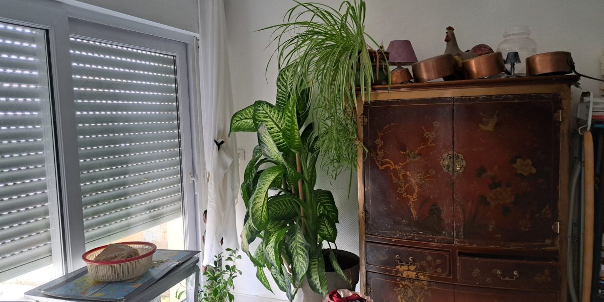 photo_7576289d512e5219b9397a83b5479540