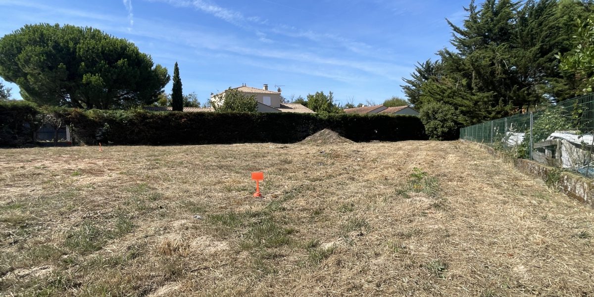 photo_7a74dae5751c801c0a8bc8c5e9b3f519