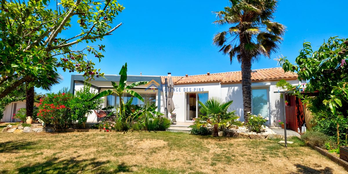 photo_af23c567ea3ac1063a20422a9bef3f86