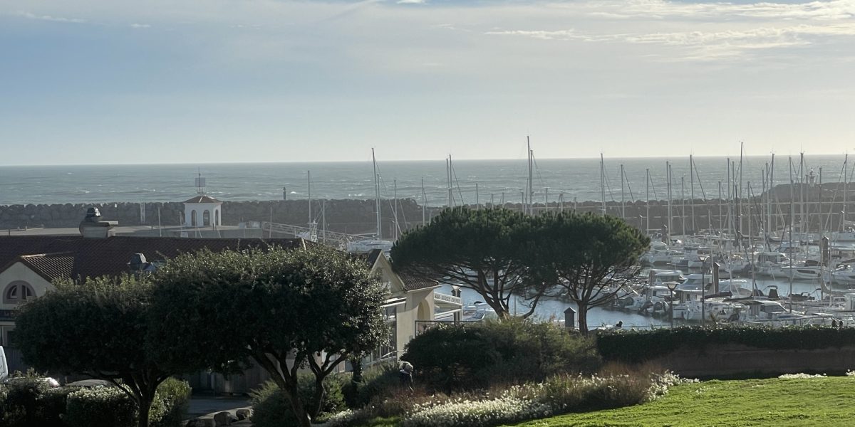 photo_c105d01be0e546273685e2a99435328d