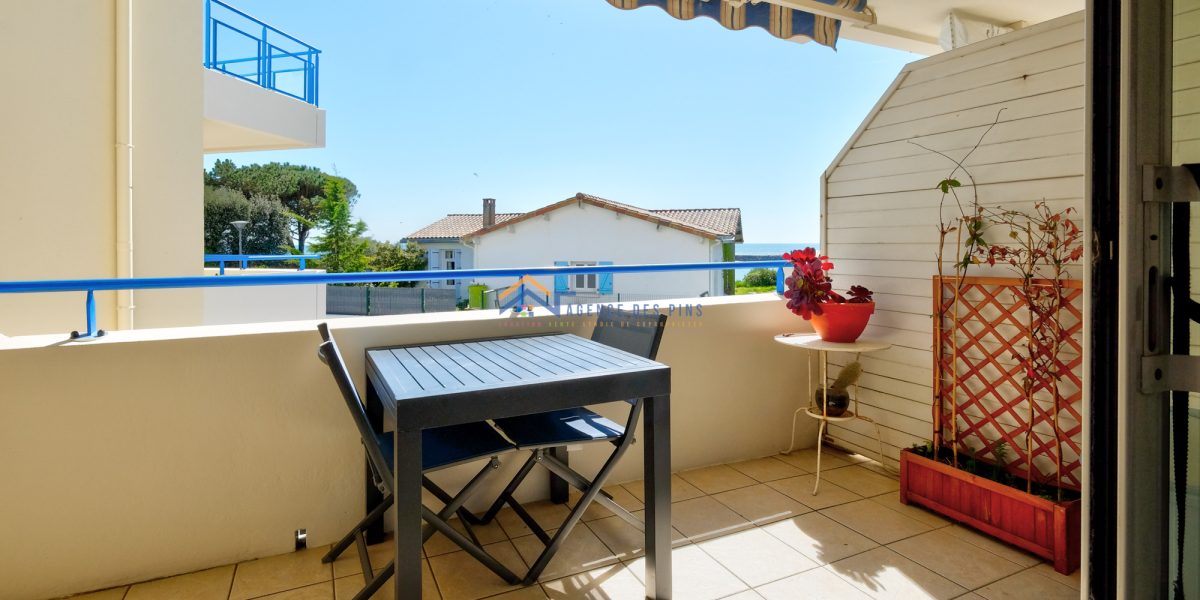 photo_c284f1d997ae4761306912e636dcd58d-1