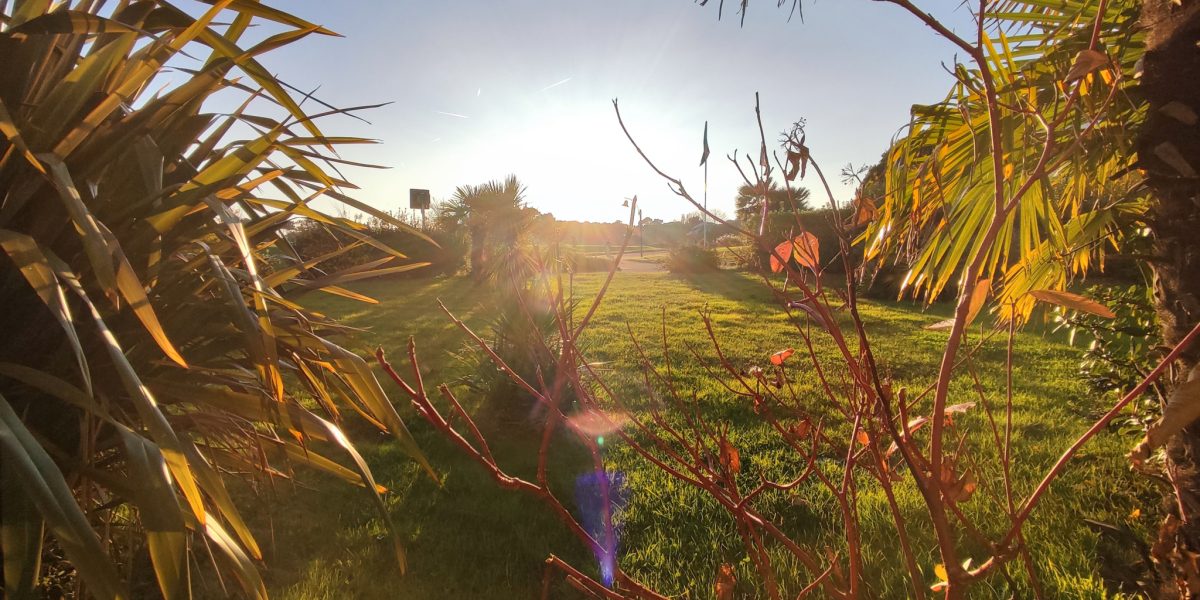 photo_c3b8fa0320da1e6e99f1e83ca3ccaac5