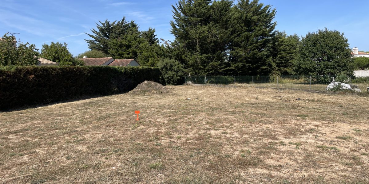 photo_ce99205a827534cdf1be6ba52c30d479