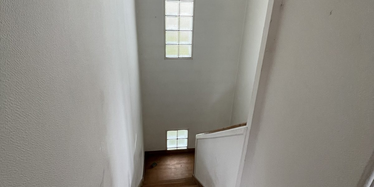 photo_d862ad13138bfeeaf723fa94c227656a-1