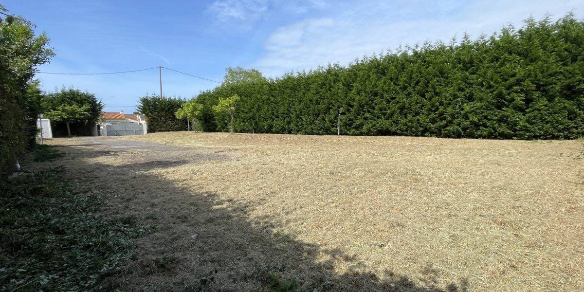 photo_dc35a65e1eb02f8958efc55d3550533b