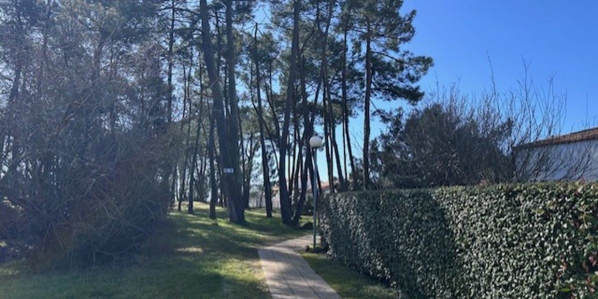 photo_e77dbef4115ef20d262cecbbfa502353