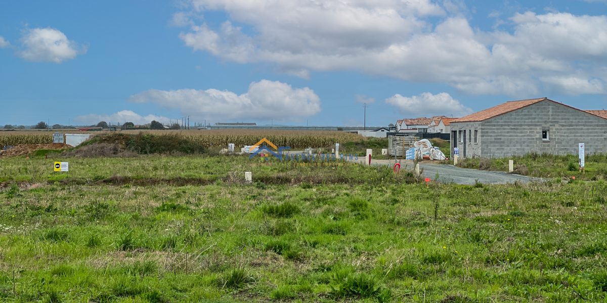 photo_eaa1975979c9355068301fd554608cf0